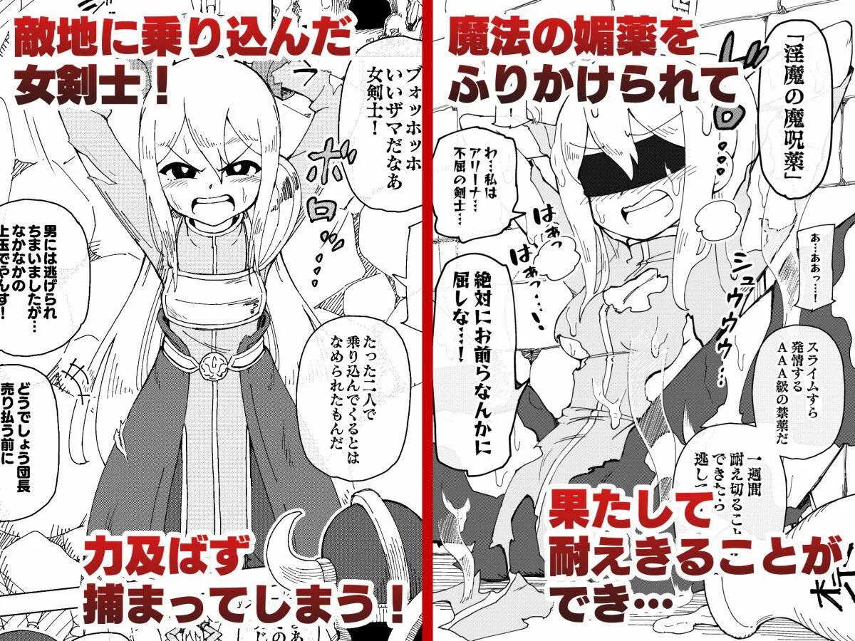 隷属娘〜不屈の女剣士〜