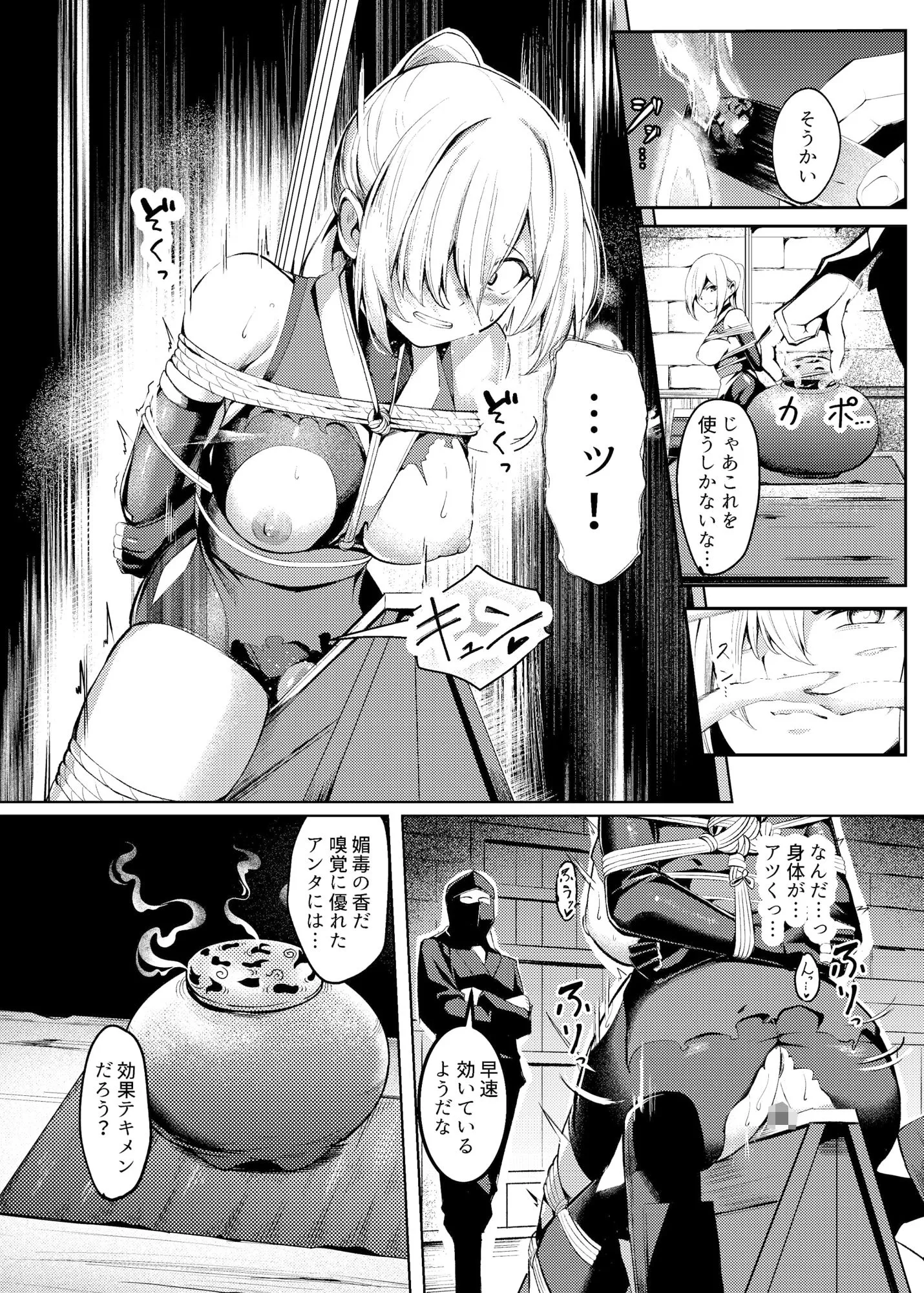 調教淫録〜くノ一棗の受難〜