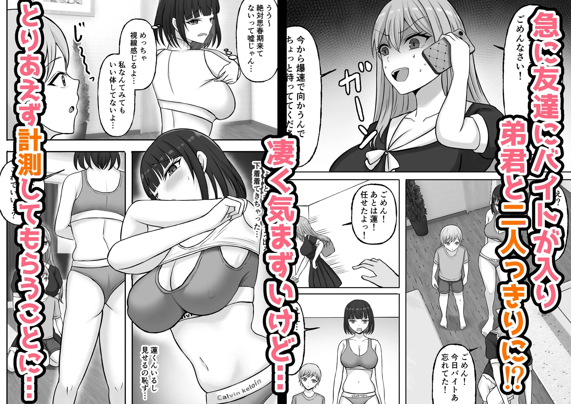 ご主人様は年下くん〜姉の友達メイド育成記〜