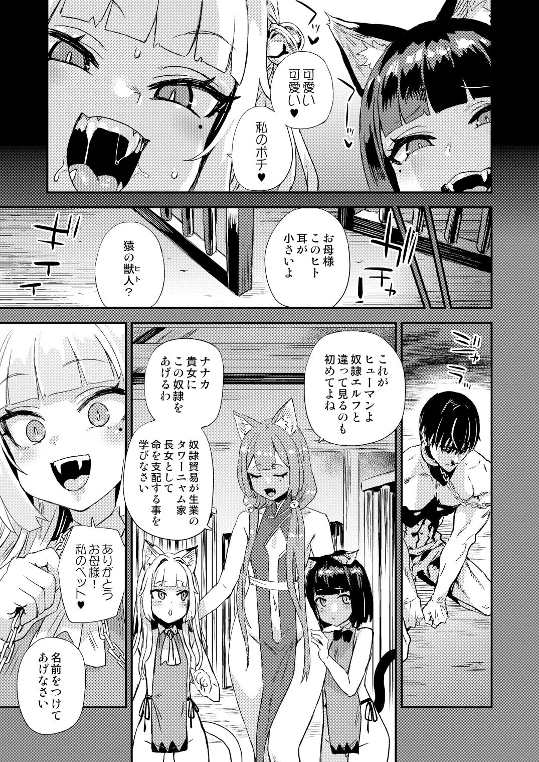 猫族娘はヒトを飼う。