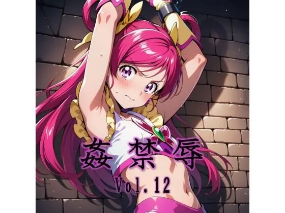 姦禁辱 vol.12