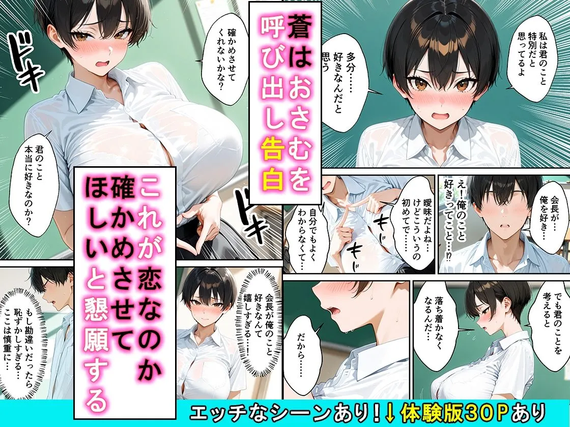 女の子扱いされたい王子様な生徒会長があまあま中出しセックスでメスになる話