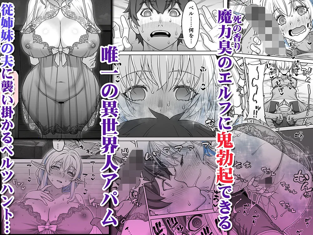 行き遅れ231歳ちょろエルフ戦線