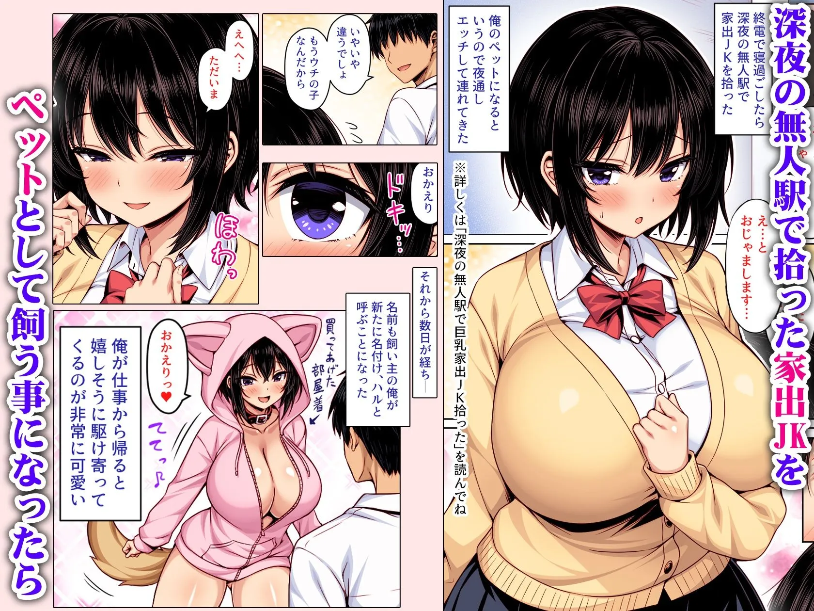 深夜の無人駅で拾った巨乳家出JKの飼い主の日常  カラー版